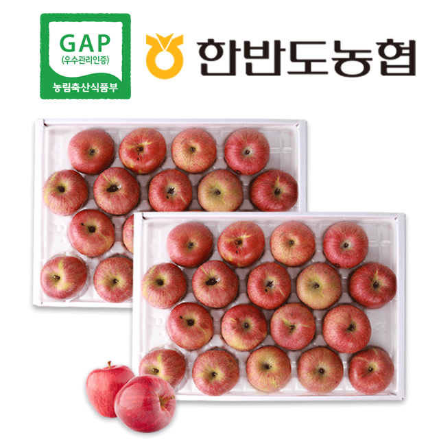 영월몰,[GAP]흠집사과 10kg (34~38과) 무료배송
